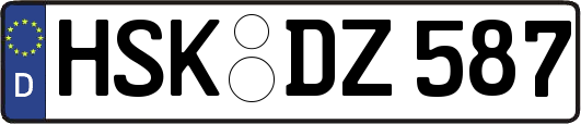 HSK-DZ587