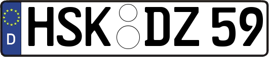 HSK-DZ59