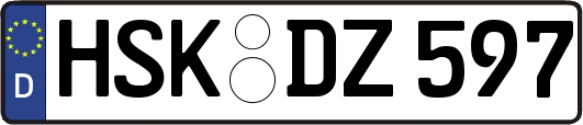 HSK-DZ597