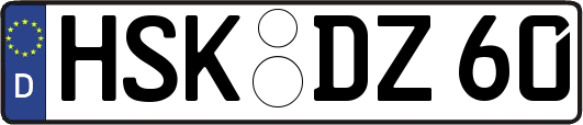 HSK-DZ60