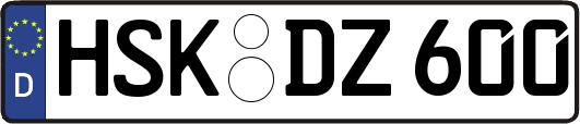 HSK-DZ600