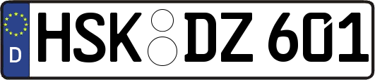 HSK-DZ601