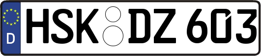 HSK-DZ603