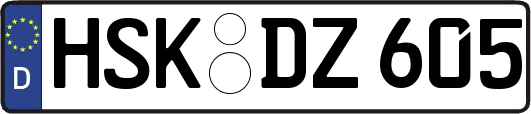 HSK-DZ605