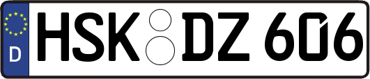 HSK-DZ606