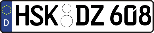 HSK-DZ608