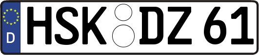 HSK-DZ61