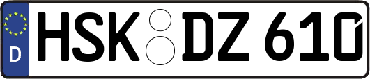HSK-DZ610