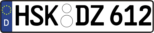HSK-DZ612