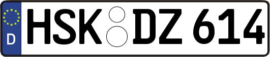 HSK-DZ614