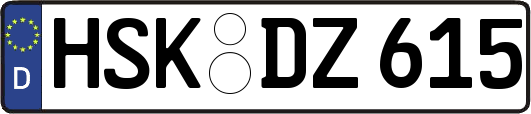HSK-DZ615