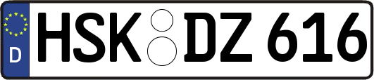 HSK-DZ616