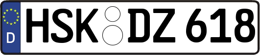 HSK-DZ618