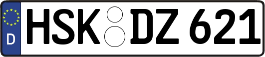 HSK-DZ621