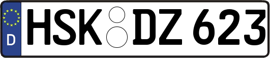 HSK-DZ623
