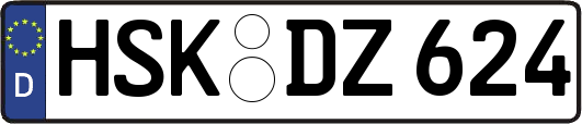 HSK-DZ624