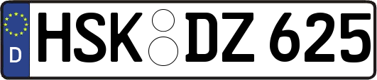HSK-DZ625