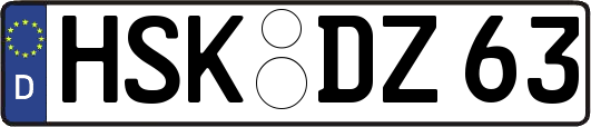 HSK-DZ63