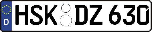 HSK-DZ630