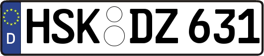 HSK-DZ631