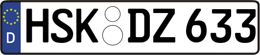 HSK-DZ633