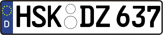 HSK-DZ637