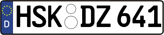 HSK-DZ641