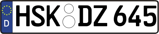 HSK-DZ645