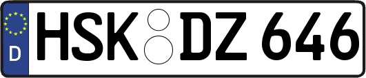 HSK-DZ646