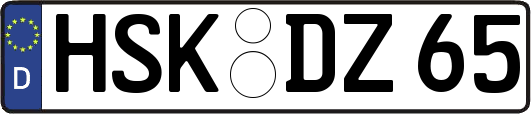 HSK-DZ65