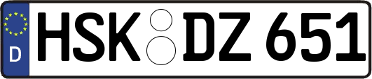 HSK-DZ651