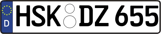 HSK-DZ655