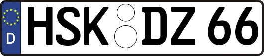 HSK-DZ66