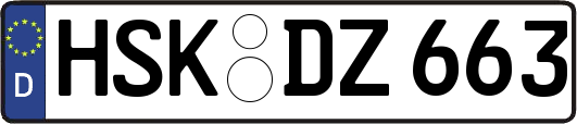 HSK-DZ663