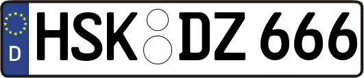 HSK-DZ666