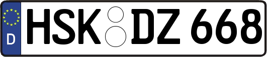 HSK-DZ668