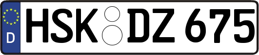 HSK-DZ675