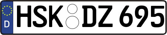 HSK-DZ695