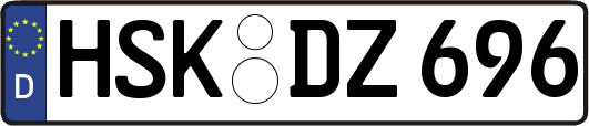 HSK-DZ696