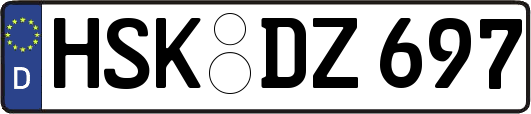 HSK-DZ697