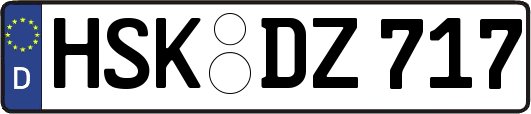 HSK-DZ717