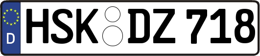 HSK-DZ718