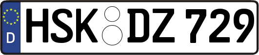 HSK-DZ729