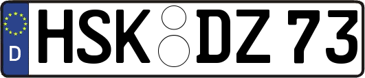 HSK-DZ73