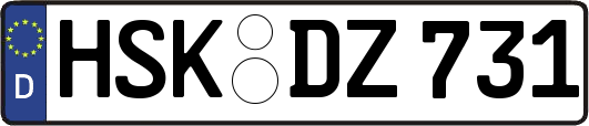 HSK-DZ731