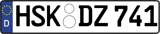 HSK-DZ741