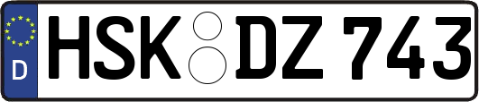 HSK-DZ743