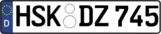 HSK-DZ745