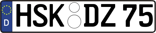 HSK-DZ75