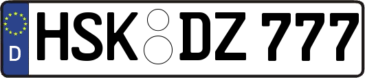 HSK-DZ777